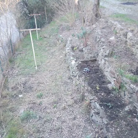 Au Musicien * Le Vigan (Lot)